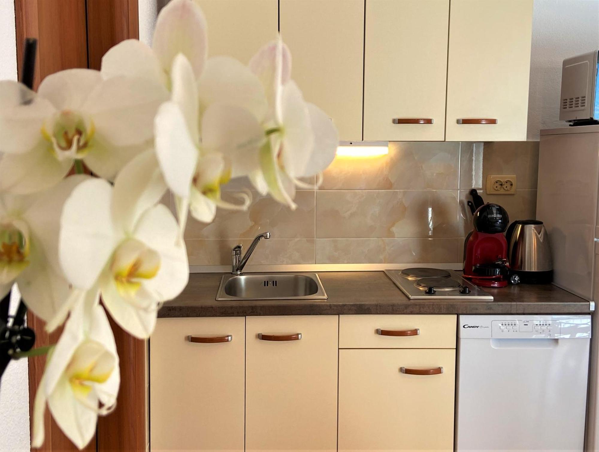 Apartment Tomi & Ivana Trogir